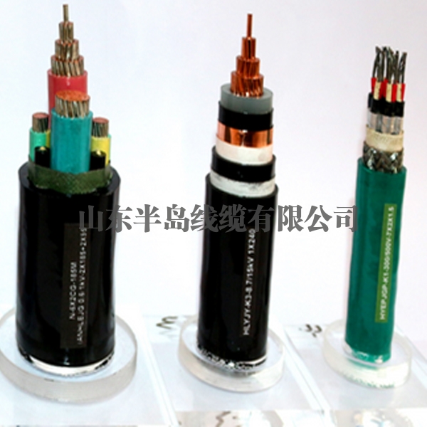 核電纜